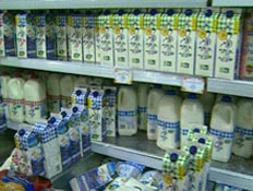 מה יהיה עם החלב? (צילום: חדשות)