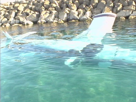 מטוס קל נחת נחיתת אונס במים בחיפה (צילום: חדשות 2)