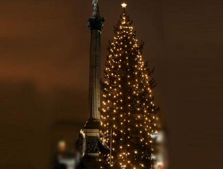 עץ חג המולד בלונדון (צילום: Cate Gillon, GettyImages IL)