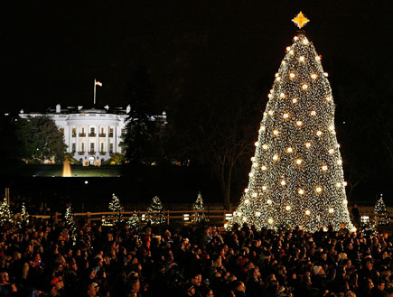 עץ חג המולד וושינגטון (צילום: Chip Somodevilla, GettyImages IL)