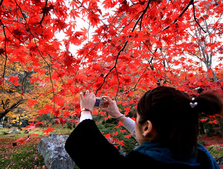 סתו ביפן (צילום: Junko Kimura, GettyImages IL)