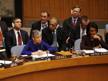 מועצת הביטחון בפעולה (צילום: רויטרס)