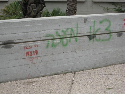 כתובות נאצה נגד ברק (צילום: אדיר ינקו - דובר אגודת הסטודנטים, תל אביב)