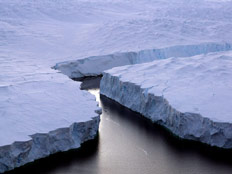 קרחונים באנטארקטיקה (צילום: אימג'בנק-Getty Images)