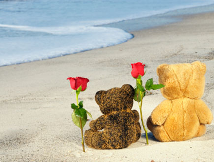 זוג דובים על חוף הים (צילום: istockphoto)