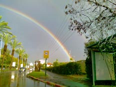 קשת בענן (אביב אברמוביץ') (צילום: אביב אברמוביץ')