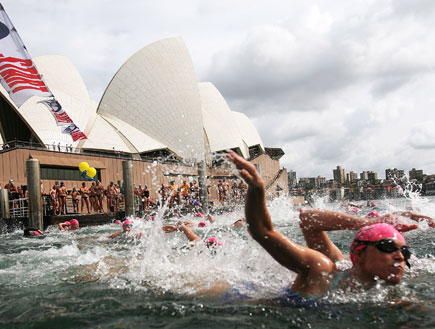 תחרות השחייה השנתית בנמל סידני (צילום: Ian Waldie, GettyImages IL)