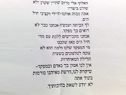 פלייר שחולק בקרייה נגד מפקד חייל הים אלי מרום (צילום: גלעד שלמור)