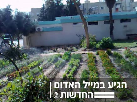 בית ספר בתל אביב שמשקה בצהריים (חדשות 2) (צילום: חדשות 2)