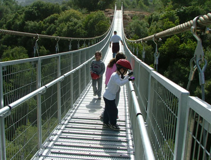 טיולי משפחות: הגשר בנשר (צילום: קרן קיימת לישראל)
