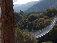 טיולי משפחות: גשר החבלים בפארק נשר (צילום: קרן קיימת לישראל)