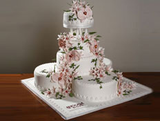 עוגת חתונה של עינב בובליל (צילום: mako)