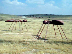 טיולים בדרום: גן הפסלים ליד באר שבע (צילום: איל שפירא)