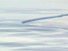 קרחון שנמס באנטרקטיקה (חדשות 2) (צילום: חדשות 2)