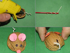 קולאז' עכברונים מאגוזים (צילום: באדיבות אתר הלול)