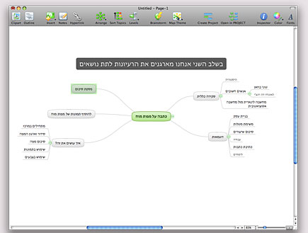 Mindmap 2nd stage (צילום: זיו קיטרו)