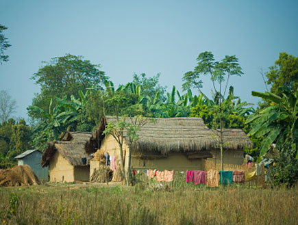 בקתה בהודו (צילום: piskunov, Istock)