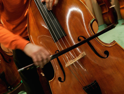 קונטרה בס (צילום: Ralph Orlowski, GettyImages IL)