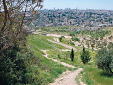 מבט לסילואן - ירושלים (צילום: יותם יעקובסון, גלובס)