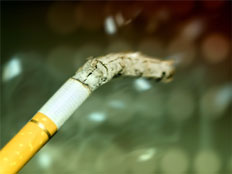 יוזמה חדשה בבתי הספר: גמילה מעישון למורים (צילום: Dudakova Elena, Shutterstock)