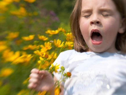 ילדה מתעטשת (צילום: BigPappa, Istock)