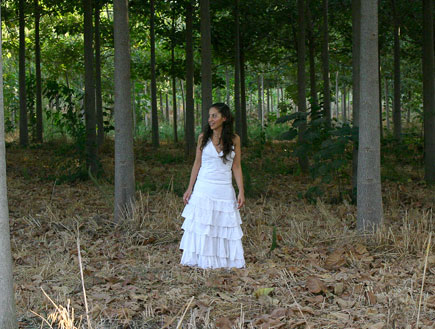 כלה ביער- לוקיישנים לצילום (צילום: אלמנט צילום)