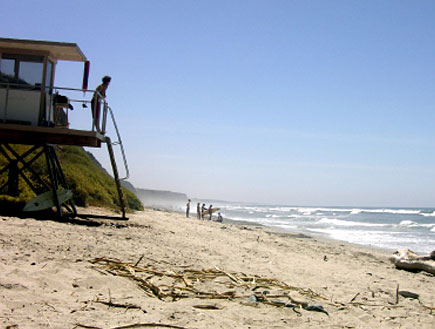 חוף סאון אונופרה בקליפורניה (צילום: istockphoto)