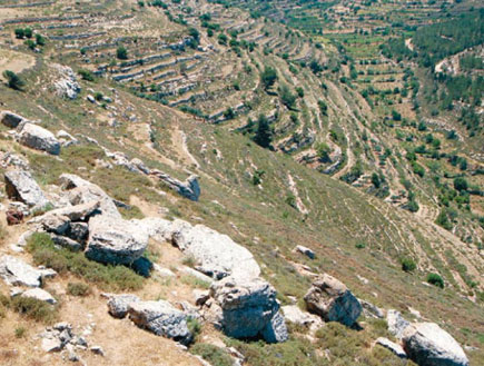 גוש עציון (צילום: יותם יעקובסון, גלובס)