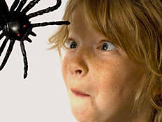 ילד ועכביש (צילום: iStock)