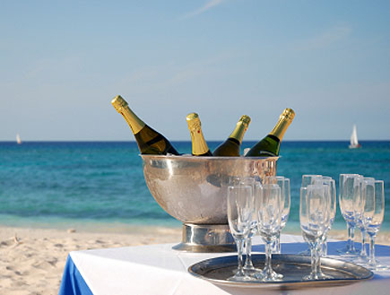 קערה עם שמפניות על רקע הים (צילום: mario loiselle, Istock)