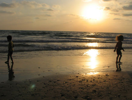 חוף סידני עלי (צילום: ליאור אבולעפיה)