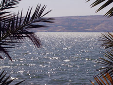 סוף לבצורת. אגם הכנרת (צילום: דניאל נחמיה, חדשות 2)