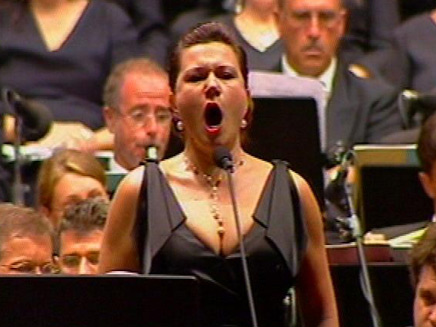 האופרה לה סקאלה בפארק הירקון (צילום: חדשות 2)