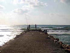 דייגים בחוף קריית ים (צילום: עידו כץ)