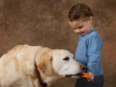 ילד נותן מוצץ לכלב- גמילה ממוצץ (צילום: Robert Dant, Istock)