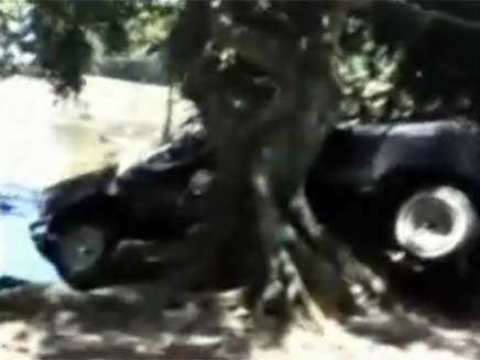 רכב שנתקע על עץ במהלך הצונאמי (צילום: חדשות 2)