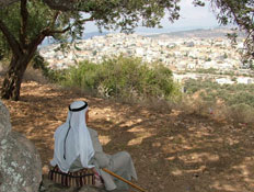 פסטיבל ימי ענף הזית (צילום: עין מצלמת,  יחסי ציבור )