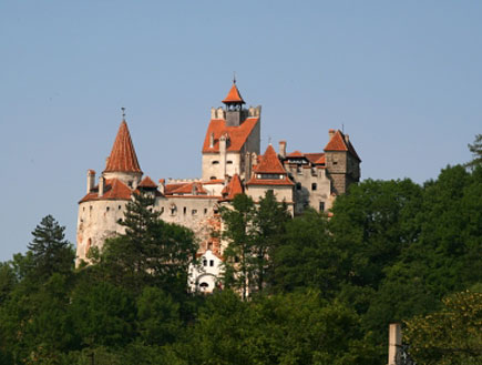 dracula-istock (צילום: Remus Eserblom, Istock)