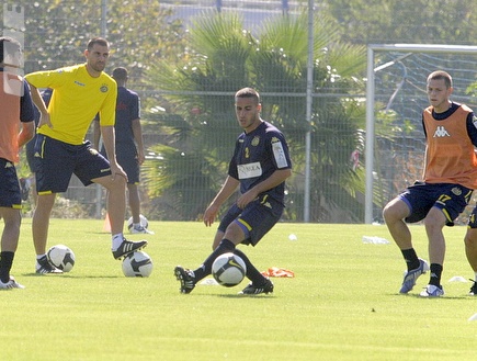 נמני מתבונן בלוטטי עם הכדור, שפונגין ורון נאבקים (אור שפונדר) נמני מתבונן בלוטטי עם הכדור, שפונגין ורון נאבקים (אור שפונדר)