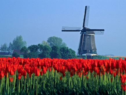 הולנד (צילום: Jaap Hart, Istock)