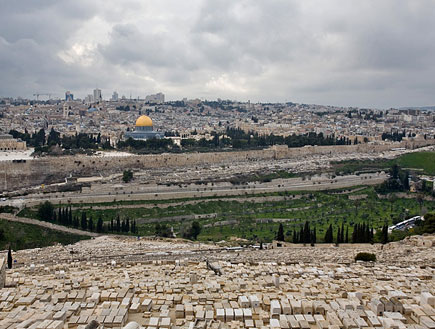 נחל קדרון- סובב חומות ירושלים- צילם דורון ניסים (צילום: דורון ניסים, רשות הטבע והגנים)