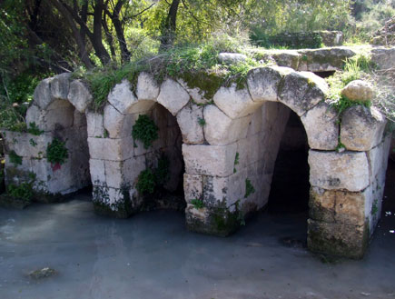 טיול בהרי ירושלים: מעיין בית הקשתות בפארק קנדה (צילום: ערן גל-אור)