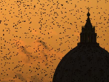רומא - הציפורים  ממשיכות לעבוד (צילום: רויטרס)
