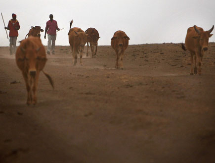 טנזניה (צילום: Spencer Platt, GettyImages IL)