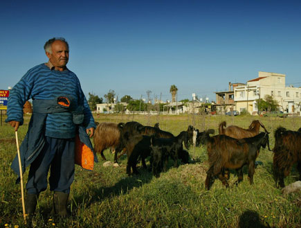 רועה צאן בפמגוסטה, צפון קפריסין (צילום: האתר הרשמי)