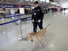 אבטחה מוגברת בנמל התעופה בדטרויט (צילום: חדשות 2)