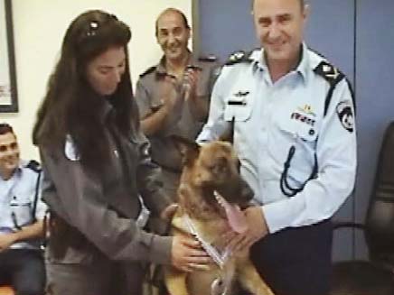 כלבה משטרתית (צילום: חדשות 2)