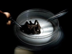 שערות של עכביש טרנטולה גרמו לדלקת אצל אדם (צילום: AFP)