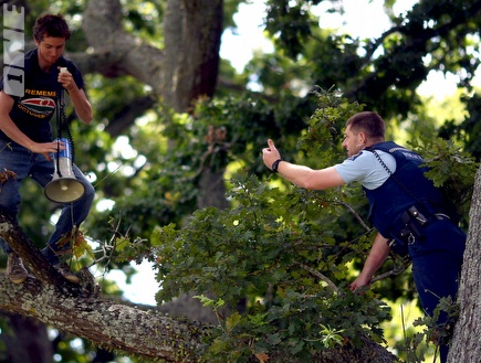 גם על העצים באוקלנד היו מפגינים (GettyImages) (צילום: מערכת ONE)