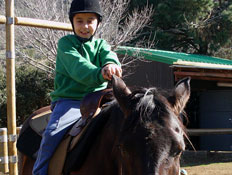 טיול עם ילדים: רכיבה על סוסים מרום גולן (צילום: שירלי אהרון)